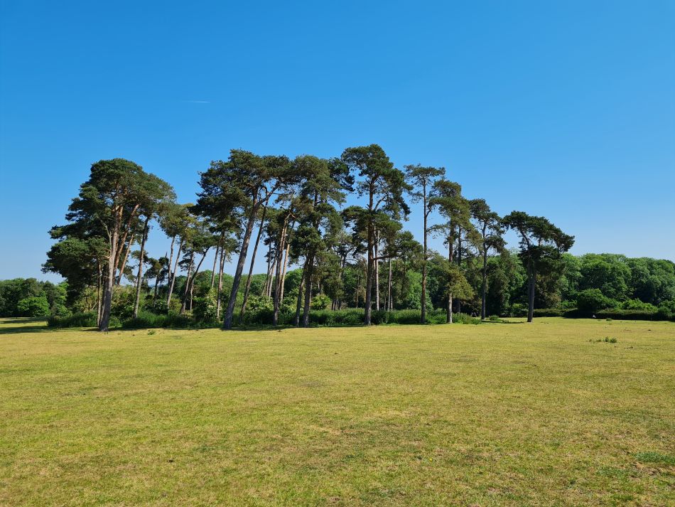 2023-06-15 09 Wensum at High Ash Farm.jpg