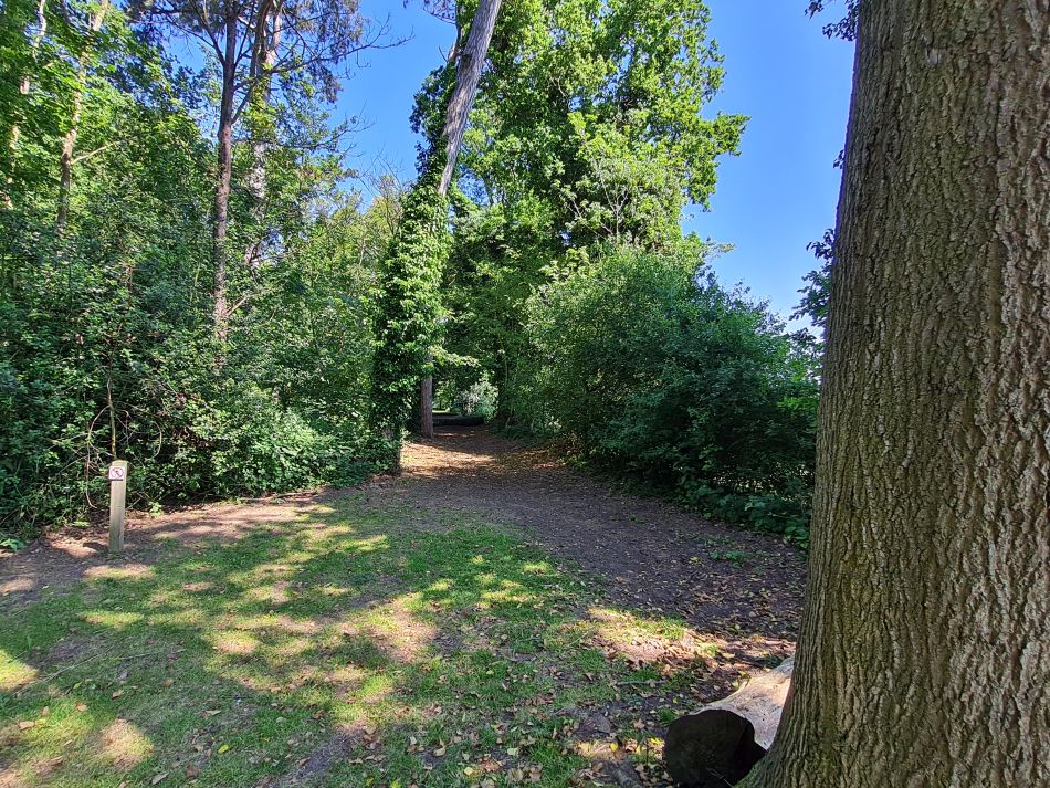 2023-06-15 17 Wensum at High Ash Farm.jpg