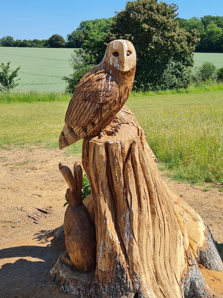 2023-06-15 21 Wensum at High Ash Farm.jpg