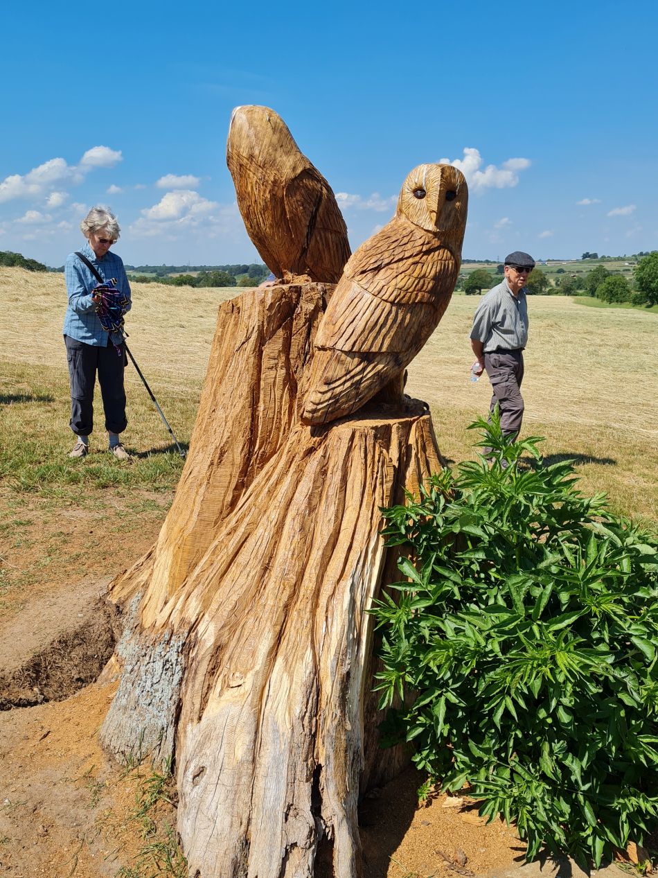 2023-06-15 23 Wensum at High Ash Farm.jpg