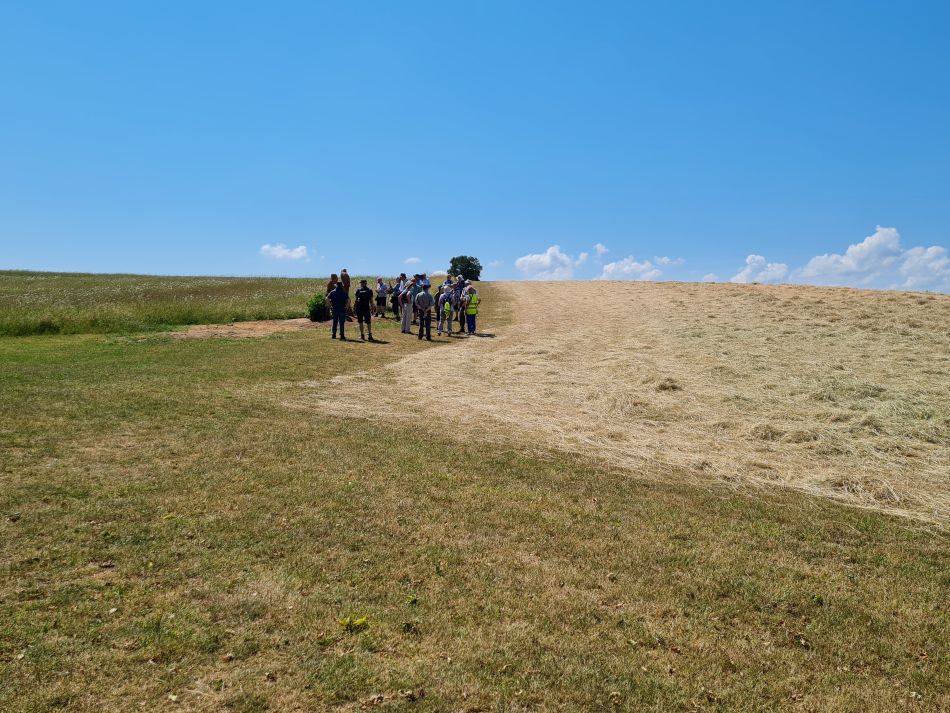 2023-06-15 24 Wensum at High Ash Farm.jpg