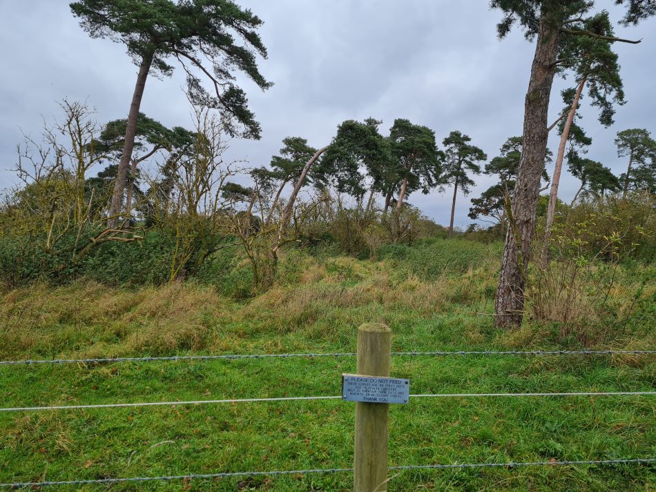 2023-11-05 05 Venta Icenorum.jpg