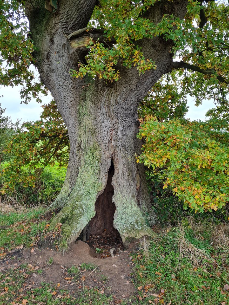 2023-11-05 07 Venta Icenorum.jpg