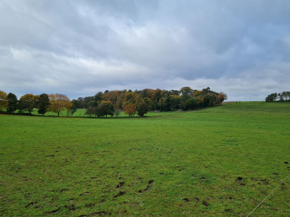 2023-11-05 08 Venta Icenorum.jpg