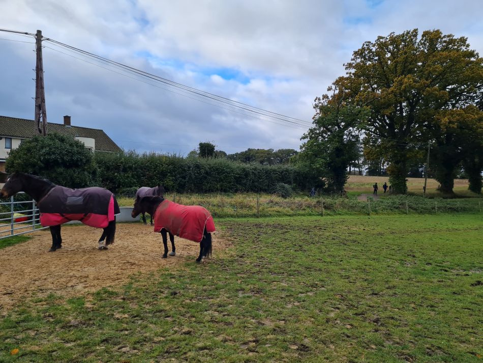 2023-11-05 09 Venta Icenorum.jpg