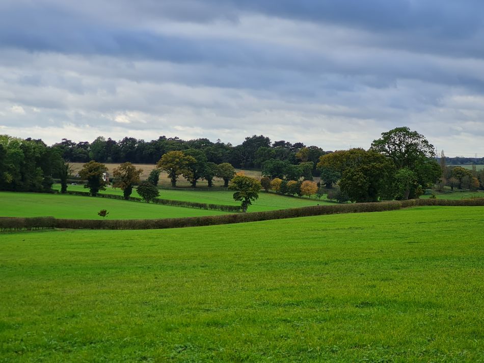 2023-11-05 21 Venta Icenorum.jpg