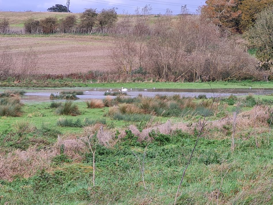 2023-11-05 27 Venta Icenorum.jpg