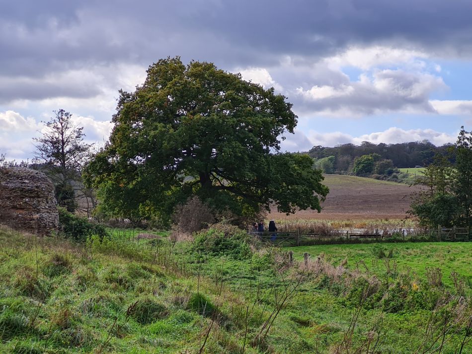 2023-11-05 28 Venta Icenorum.jpg