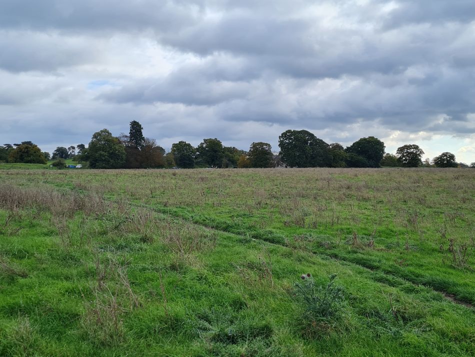 2023-11-05 30 Venta Icenorum.jpg