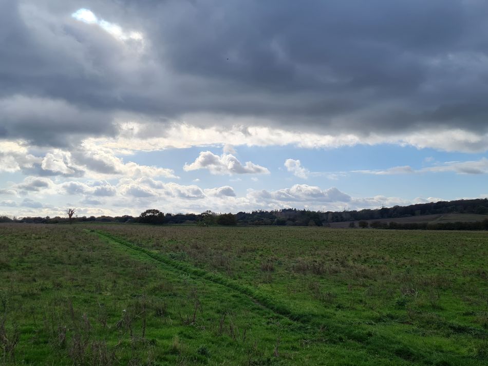 2023-11-05 31 Venta Icenorum.jpg