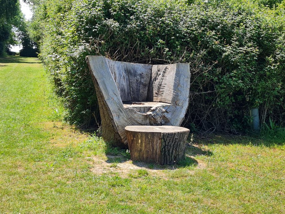 2023-06-15 35 Wensum at High Ash Farm.jpg