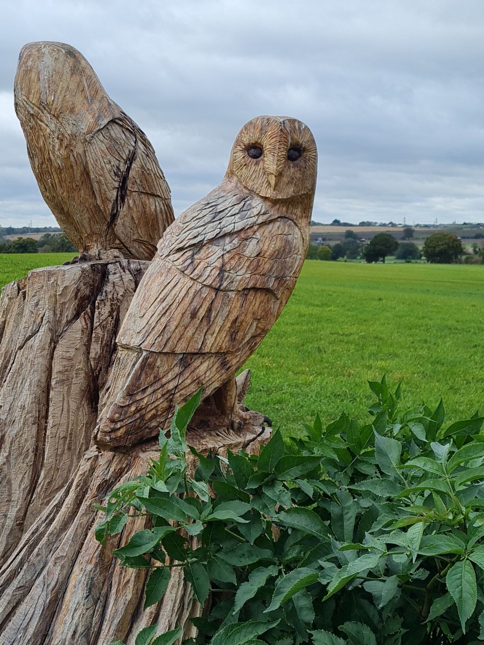 2023-11-05 12 Venta Icenorum.jpg