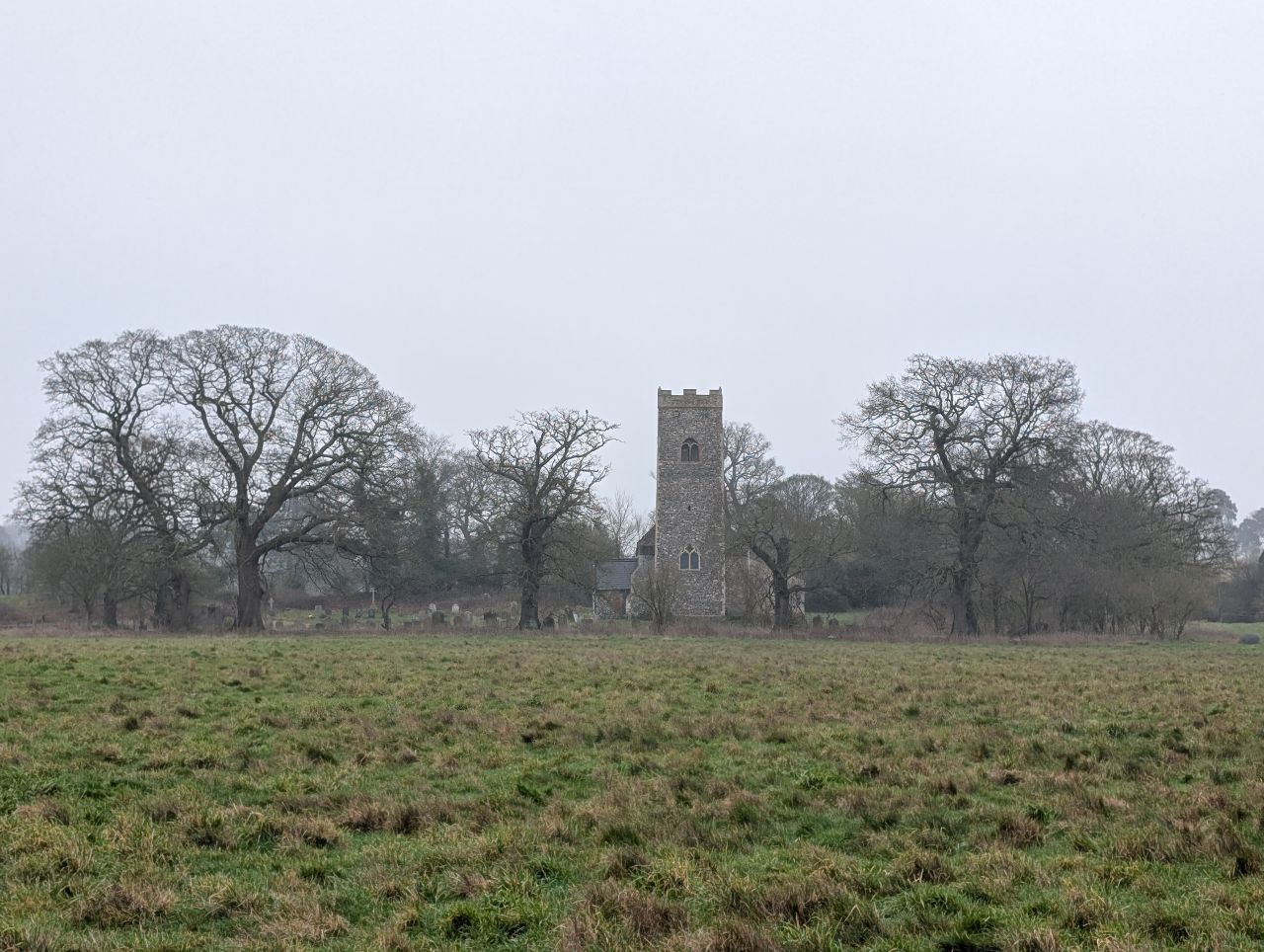 2026-02-10 06 High Ash Farm.jpg