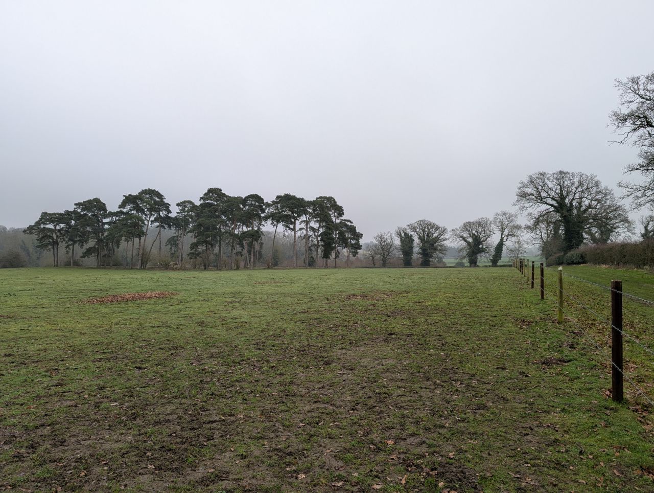 2026-02-10 10 High Ash Farm.jpg