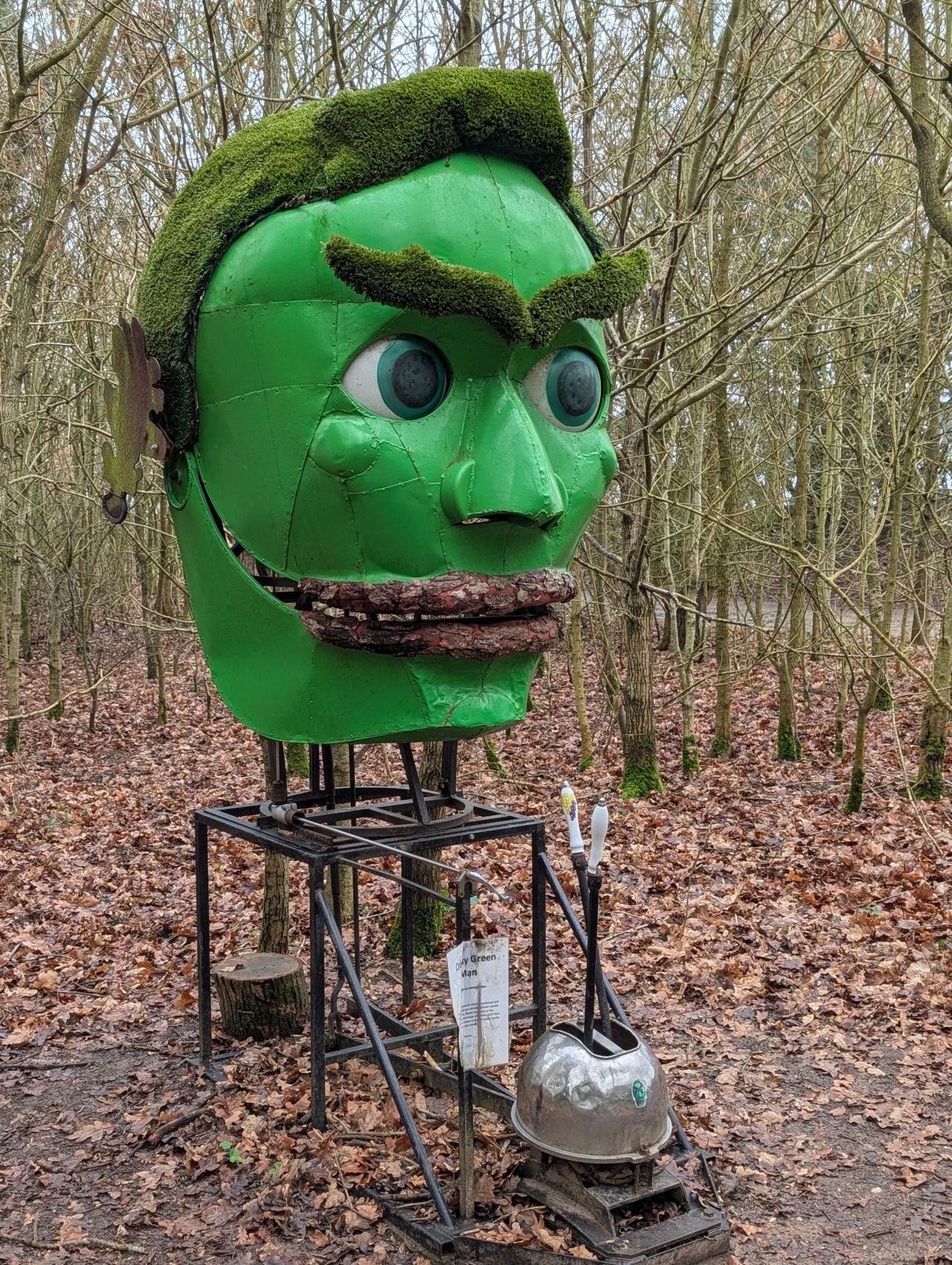 2026-02-10 14 High Ash Farm.jpg