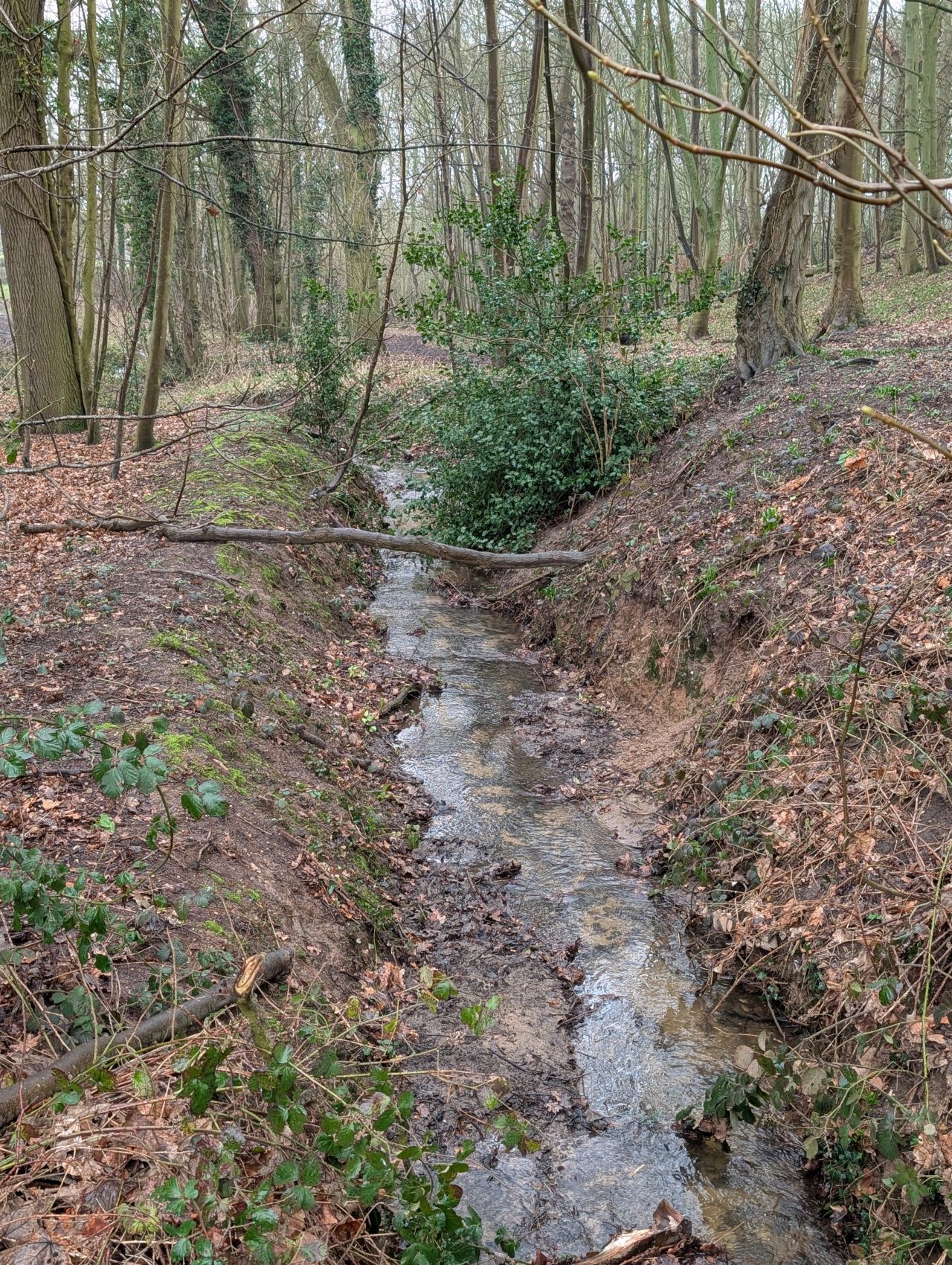 2026-02-10 16 High Ash Farm.jpg