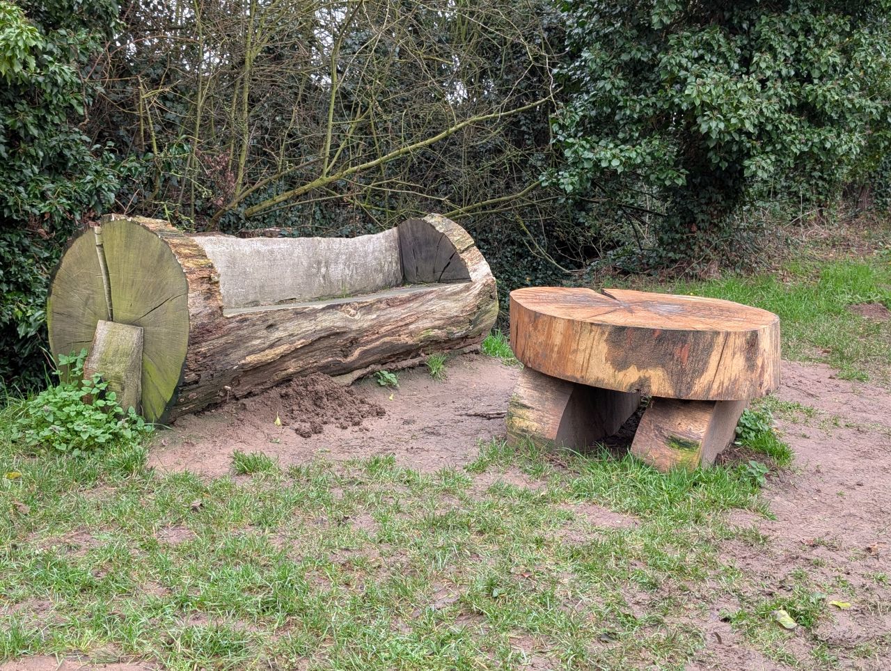 2026-02-10 19 High Ash Farm.jpg