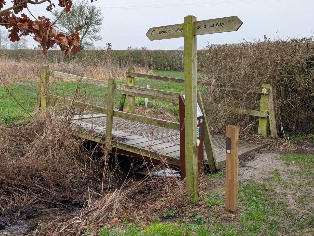 2026-02-10 21 High Ash Farm.jpg