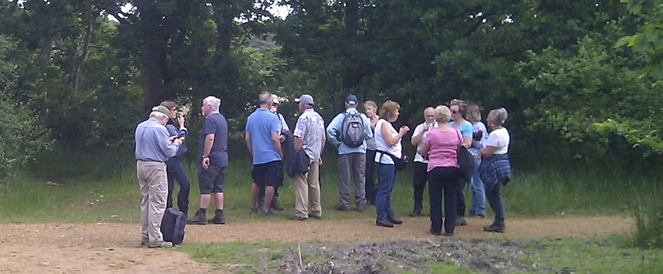 2016-06-15 02 Walberswick.jpg