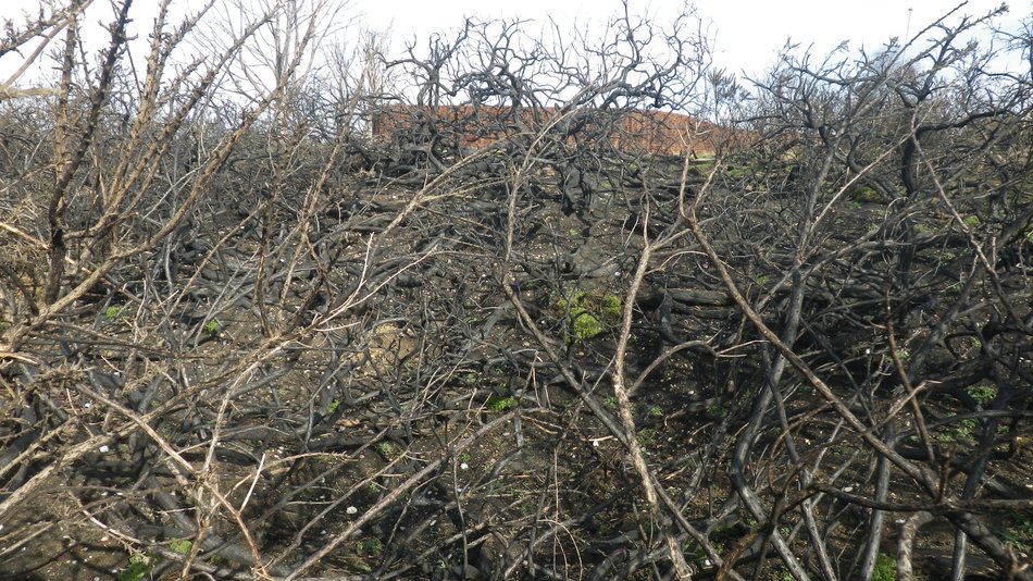 2018-02-14 02 Southwold and Walberswick.jpg