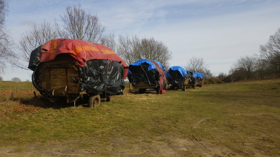 2018-02-14 07 Southwold and Walberswick.jpg