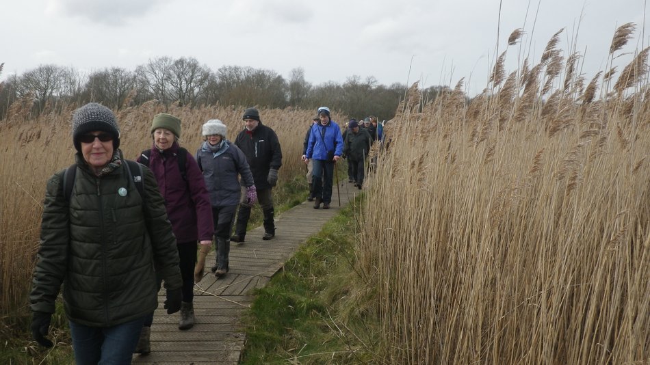 2018-02-14 09 Southwold and Walberswick.jpg