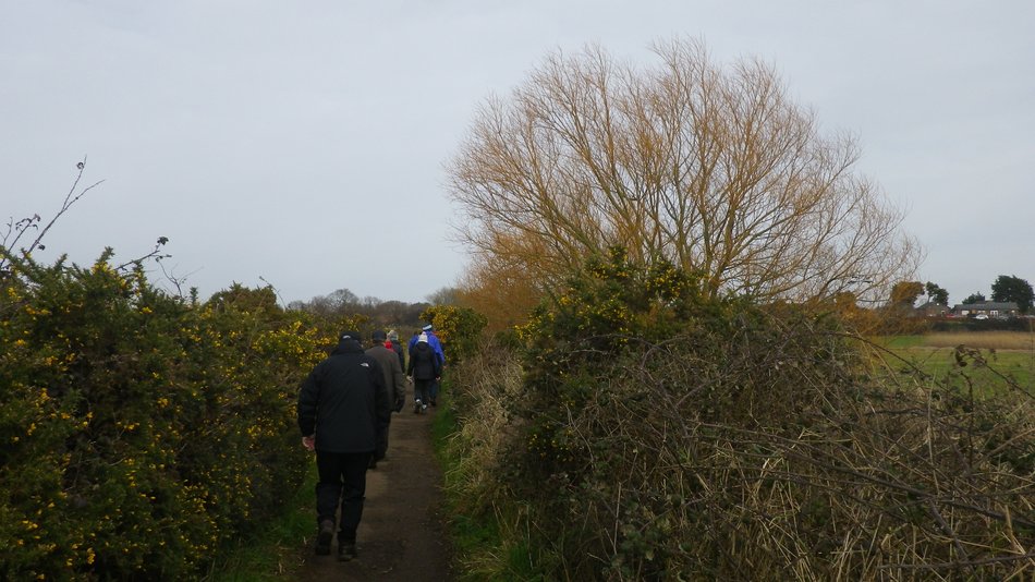 2018-02-14 14 Southwold and Walberswick.jpg