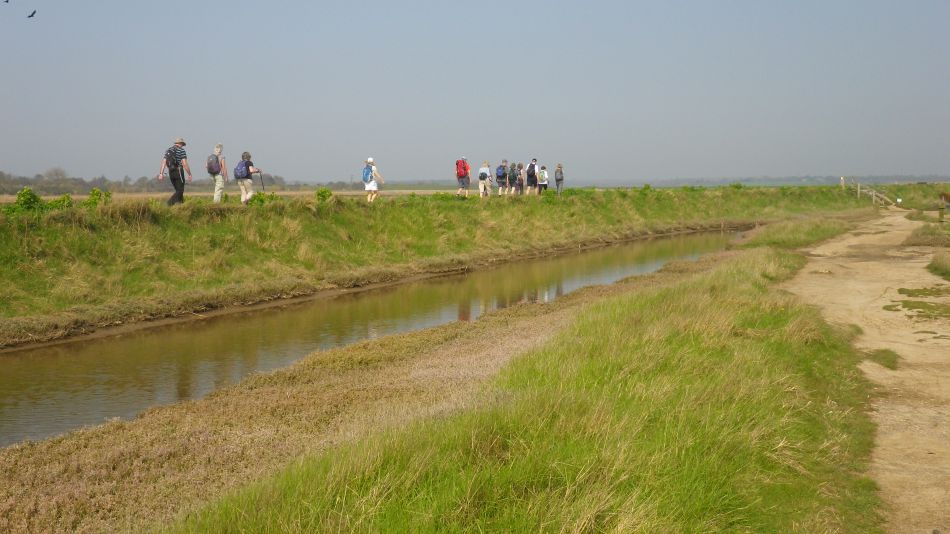 2018-04-20 04 Walberswick Southwold Tinkers Marsh.jpg