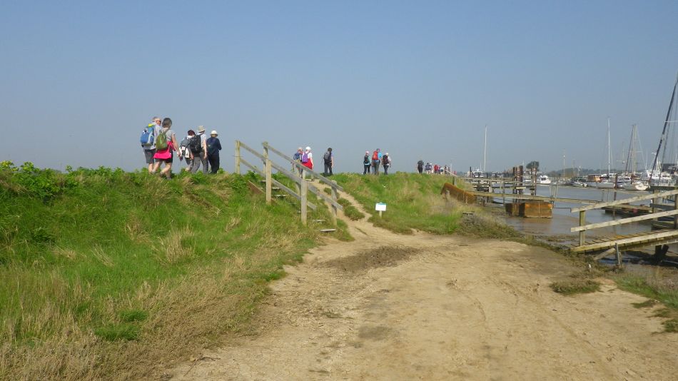 2018-04-20 05 Walberswick Southwold Tinkers Marsh.jpg