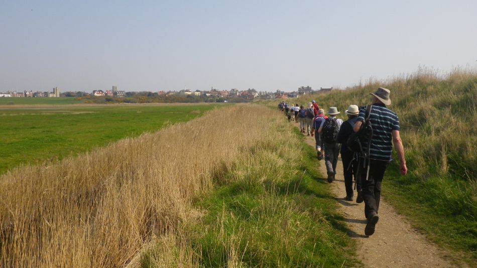 2018-04-20 13 Walberswick Southwold Tinkers Marsh.jpg