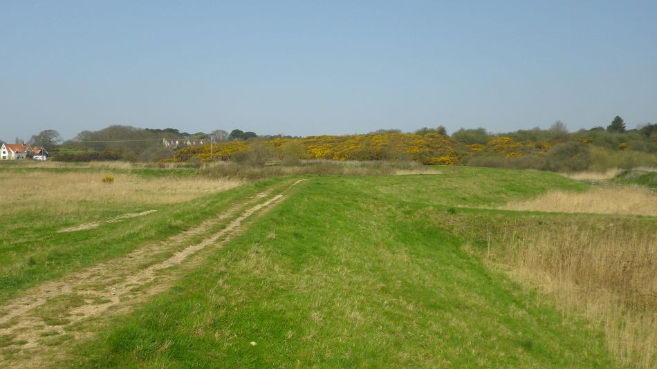 2018-04-20 22 Walberswick Southwold Tinkers Marsh.jpg