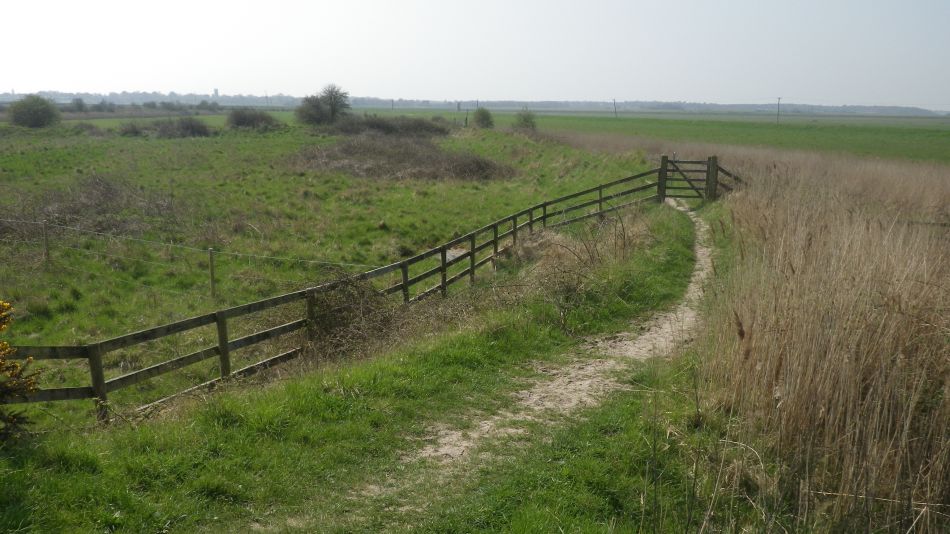 2018-04-20 23 Walberswick Southwold Tinkers Marsh.jpg