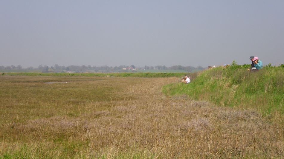 2018-04-20 26 Walberswick Southwold Tinkers Marsh.jpg