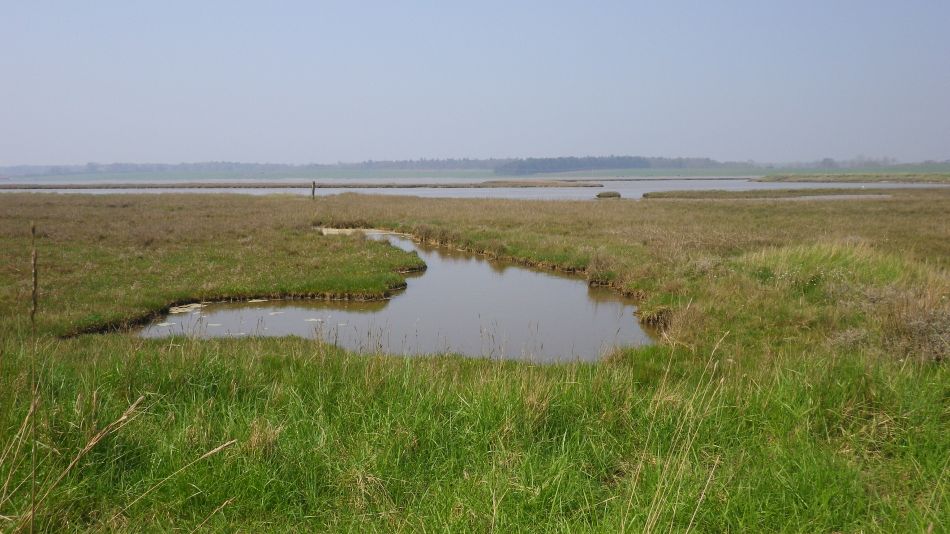 2018-04-20 27 Walberswick Southwold Tinkers Marsh.jpg