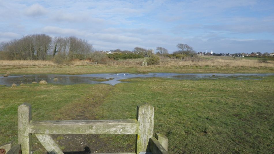 2019-02-21 01 Southwold and Buss Creek.JPG