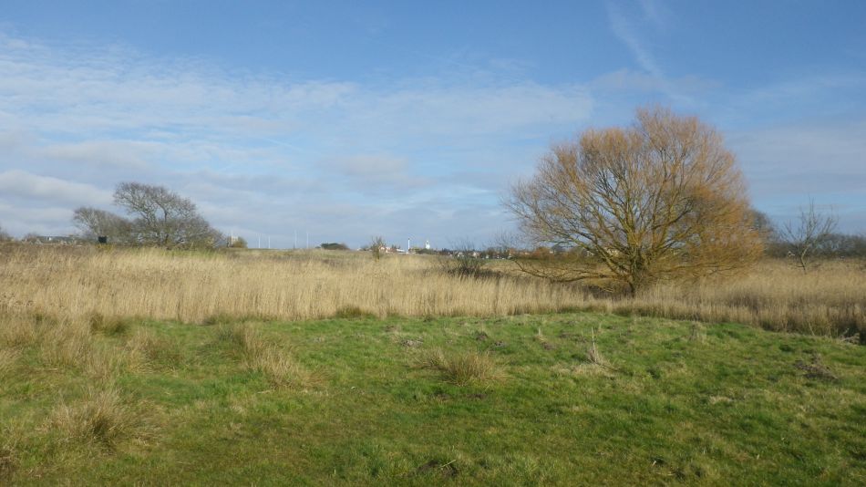 2019-02-21 02 Southwold and Buss Creek.JPG