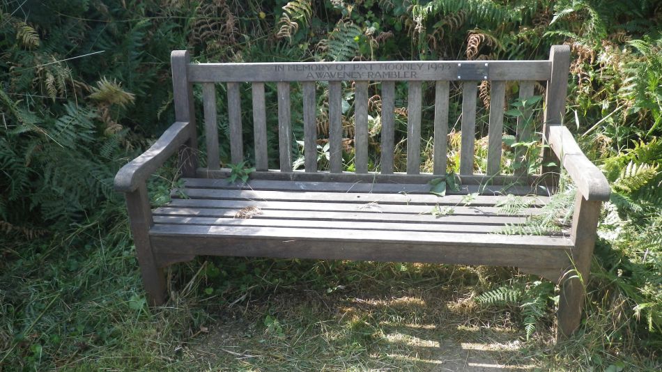 2019-07-24 03 Southwold Walberswick East Hill.jpg