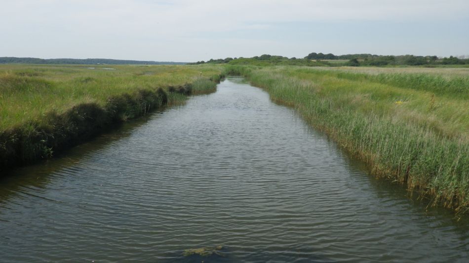 2019-07-24 06 Southwold Walberswick East Hill.jpg