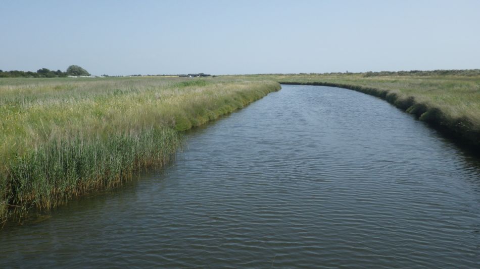 2019-07-24 07 Southwold Walberswick East Hill.jpg