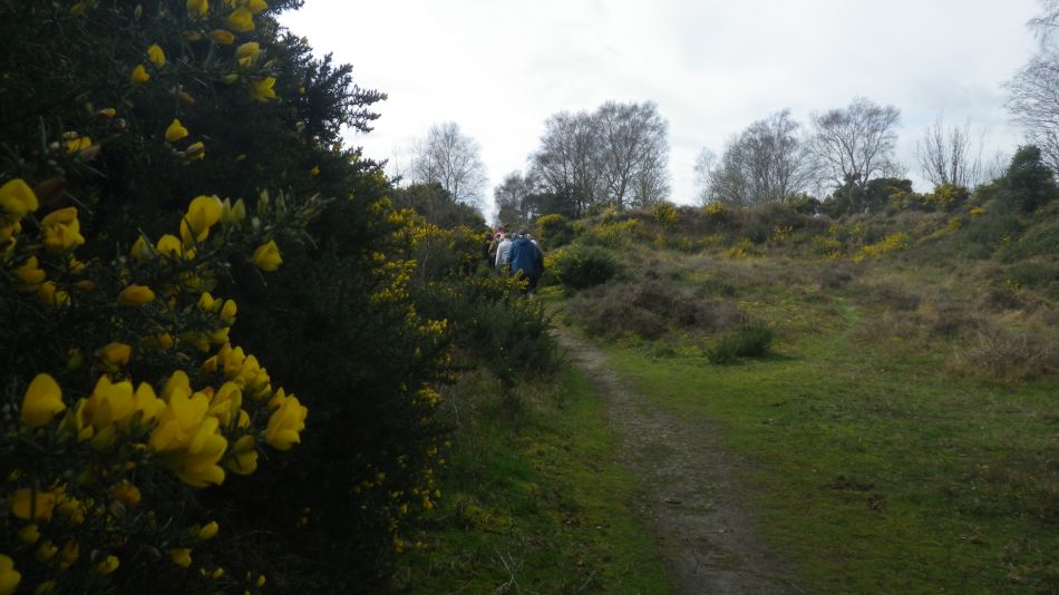 2020-03-11 03 Southwold and Walberswick.jpg