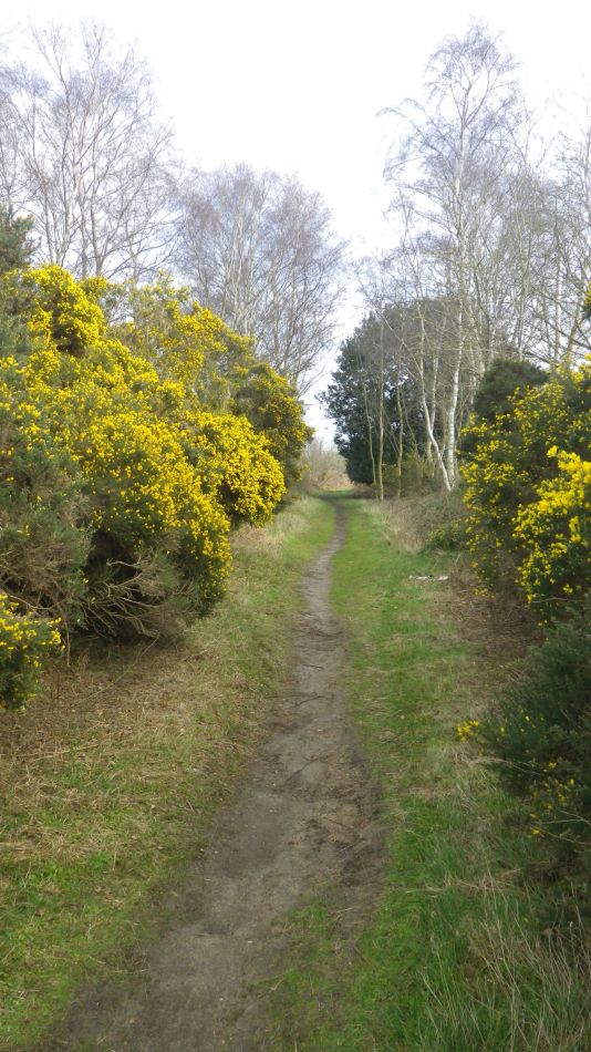 2020-03-11 04 Southwold and Walberswick.jpg