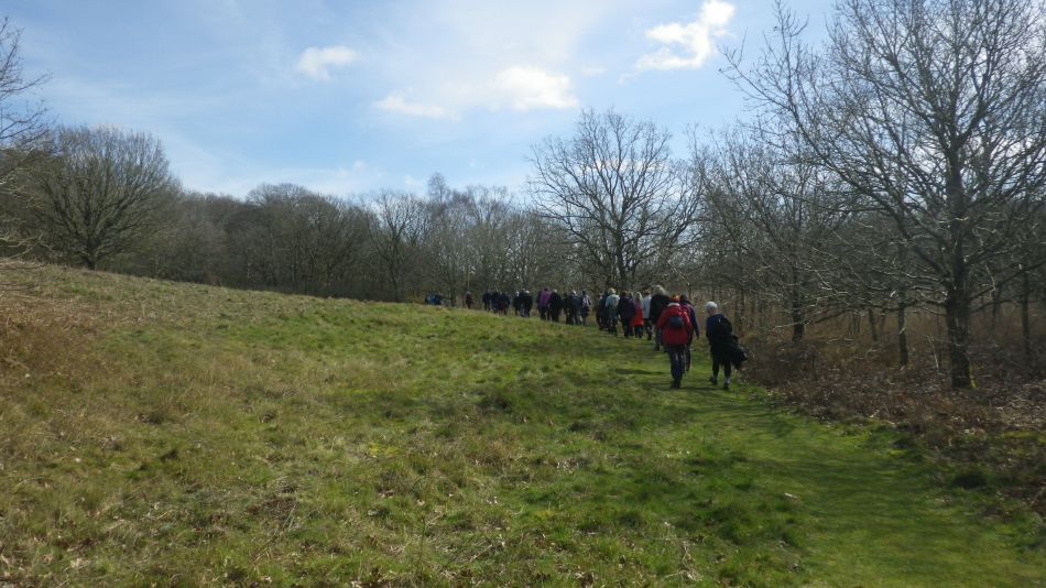 2020-03-11 06 Southwold and Walberswick.jpg