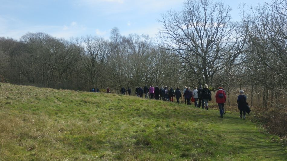 2020-03-11 07 Southwold and Walberswick.jpg