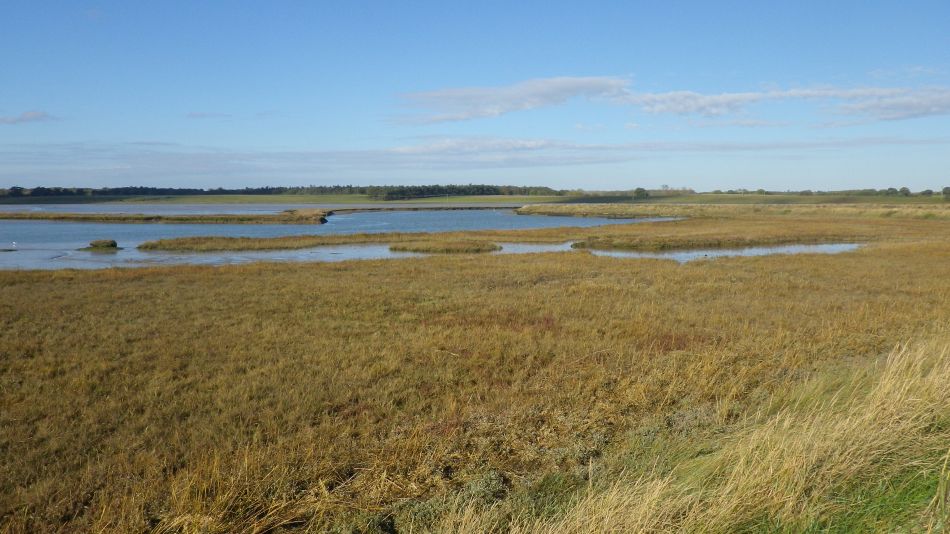 2020-10-15 01 Suffolk Creeks North 35 Southwold.jpg