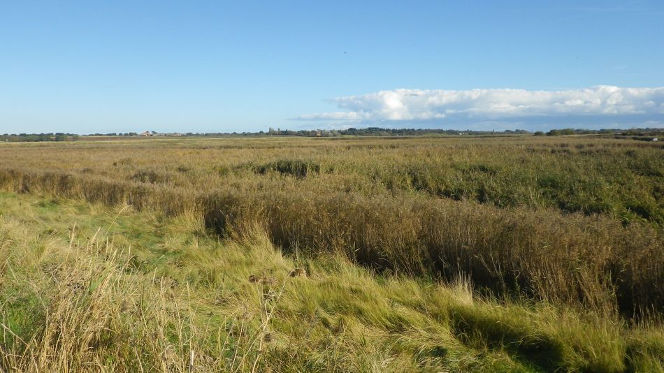 2020-10-15 03 Suffolk Creeks North 35 Southwold.jpg