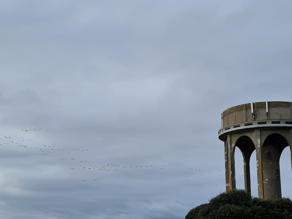 2022-02-09 02 Southwold and Walberswick.jpg