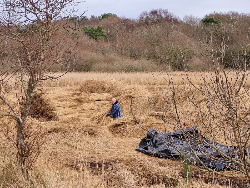2022-02-09 05 Southwold and Walberswick.jpg