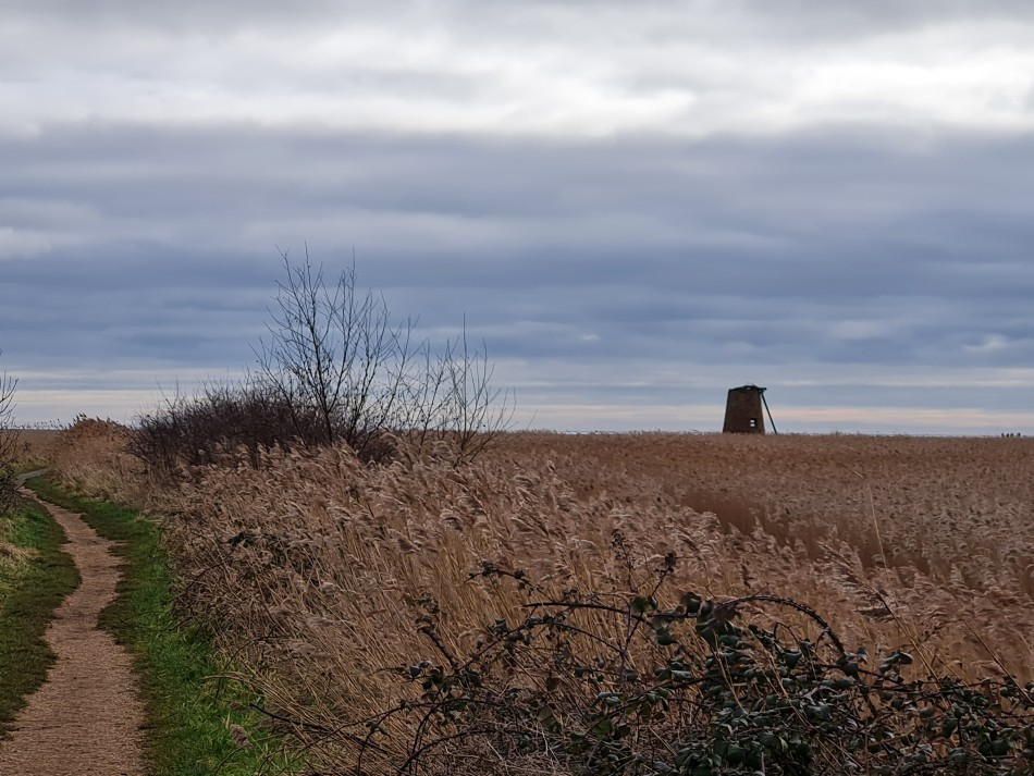 2022-02-09 06 Southwold and Walberswick.jpg