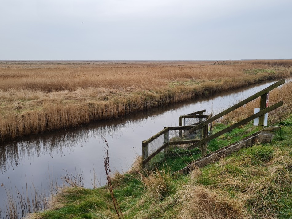 2022-03-02 14 Southwold and Walberswick.jpg