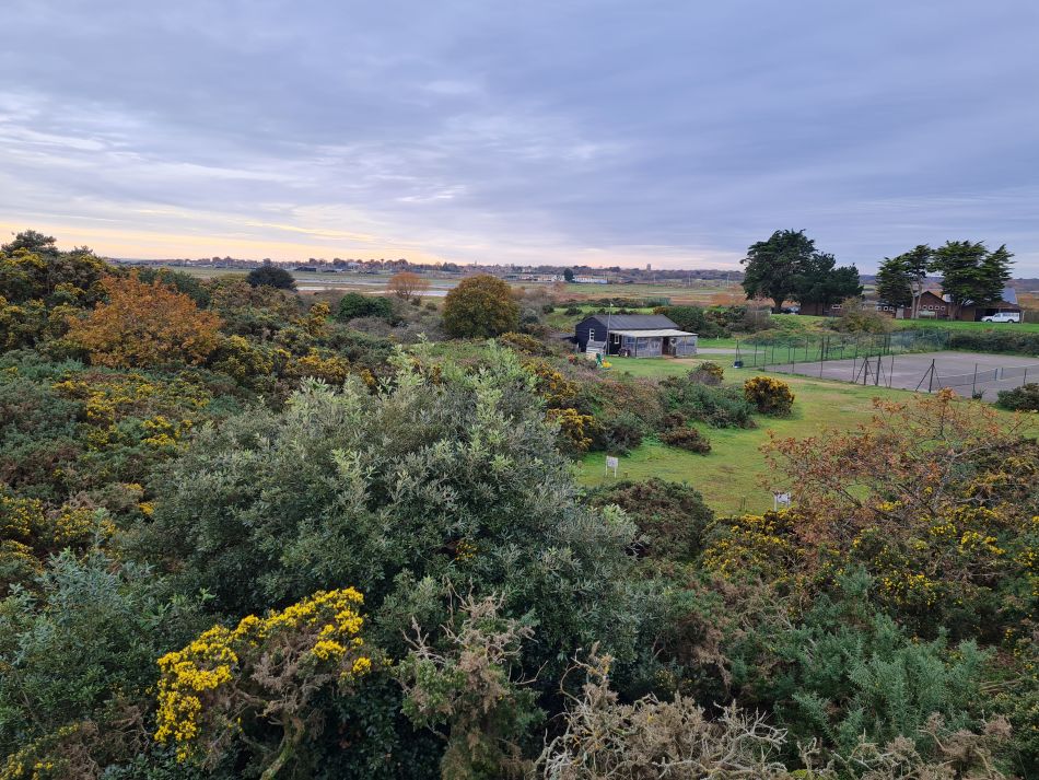 2023-11-22 01 Southwold and Walberswick.jpg